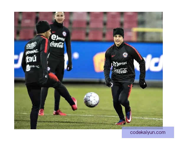 智利队未来规划