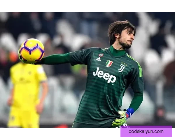 迪巴拉射门区域分析显示其在禁区内表现稳健，值得关注其进攻威胁。